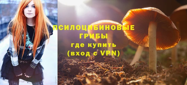 гидра Абдулино